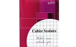 CAHIER 17X22 SEYES 96P PRE-WRITE