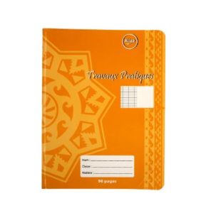 CAHIER TRAVAUX PRATIQUE 17X22 96P ALIZE