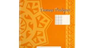 CAHIER TRAVAUX PRATIQUE 17X22 96P ALIZE