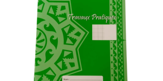 CAHIER TRAVAUX PRATIQUE ALIZE PF 192P