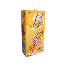 CANDY UP VANILLE BRIQUE 1L
