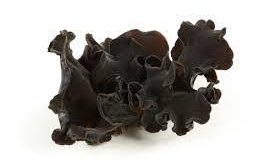 CHAMPIGNON NOIR