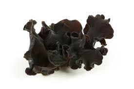 CHAMPIGNON NOIR