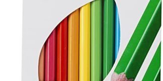 CRAYON DE COULEUR EFFACABLE CARIOCA 12 COUL