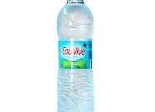 EAU VIVE PET 50CL