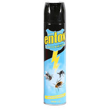ETKINTOX INSECTICIDES 300ML
